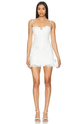 Brias Mini Dress