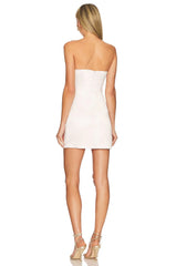 Sasha Mini Dress