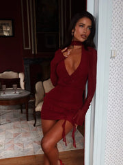 Rocheil Mini Dress Burgundy